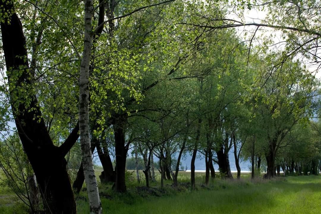 אפרטהוטל ג'רה לאריו Cascina Borgofrancone מראה חיצוני תמונה